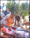 Ajalpan, el serrano municipio de Puebla en extrema pobreza protesta por feminicidio verde olivo de Stephany