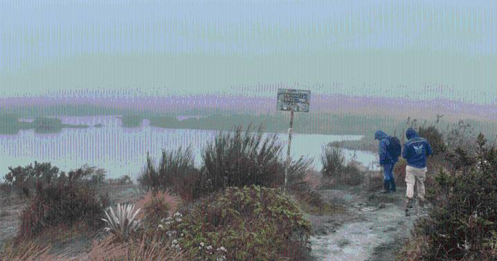 Se recuperó predio de alto valor ambiental en zona rural de Bogotá