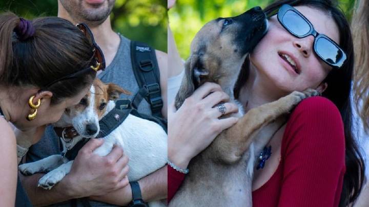 Un fallo en Jujuy reconoció a los animales como sujetos de derecho