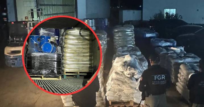 Aseguramiento histórico en carretera de Durango: Incautan 13 toneladas de precursores para drogas sintéticas