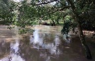 Turbiedad dejó sin agua a Zona Tének