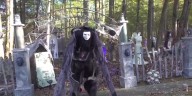 Holly Boo at Holly Bay campground