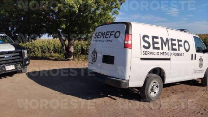 Localizan cadáver en avanzado estado de descomposición en Navolato