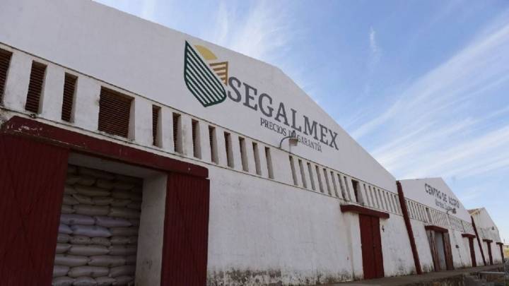 Caso Segalmex: van 27 exfuncionarios presos y más órdenes de captura en curso