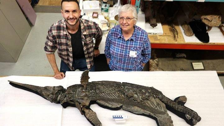 Descubren un espectacular fósil intacto de un ictiosaurio de hace 190 millones de años
