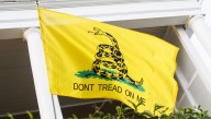 Man With 'Don't Tread On Me' Flag Pays 40% Of His Income To The Government