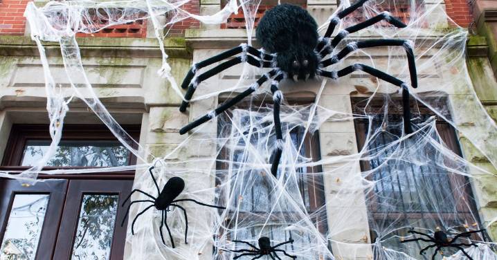 Sydney councils issue warning against Halloween decorations