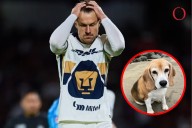 Los Pumas “humillan” a Aaron Ramsey quien no se ha presentado tras tragedia de su perrito