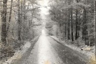Tyler’s Haunted Werewolf Road: Stories & Memories
