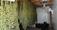 Police raid building in Manchester and find £1.3m crime den inside