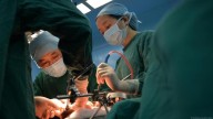 Paciente sobrevive meses con un hígado de cerdo modificado en China