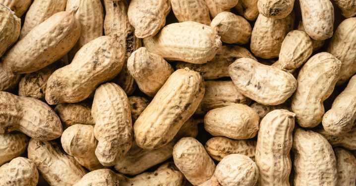 Study: early introduction of peanuts prevented allergies
