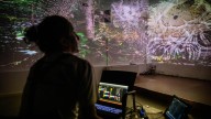 Arte digital inmersivo entre árboles y raíces: Cabrils acoge la primera edición de 'Sottobosco'