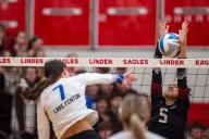 PHOTOS: Linden hosts Lake Fenton for girls volleyball Flint Metro League title