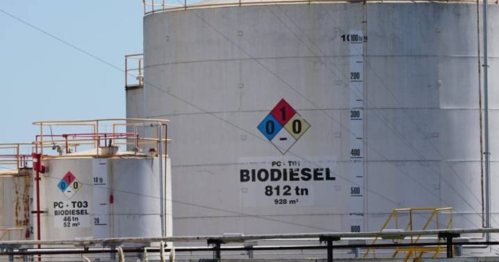 El diésel sin carbono busca su lugar en la política