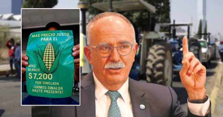 ¿Cuánto subirá el costo del maíz en México tras protestas de agricultores? Julio Berdegué, secretario de Agricultura, anuncia ajuste