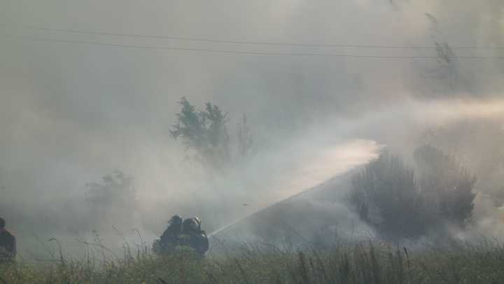 Declaran Alerta Amarilla en Combarbalá por incendio forestal que sigue activo en Llanos de Cogotí