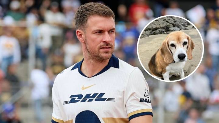 Aaron Ramsey pide ayuda para encontrar a su perro perdido en San Miguel de Allende