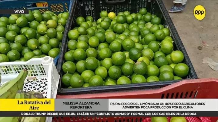 ¿Qué pasa con el limón? Precio del cítrico cae hasta 40 % en Piura y ya se siente en mercados locales