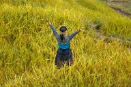 "The Zen of the Wild": Discovering the Wild Within Ourselves