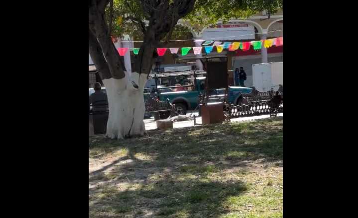 Captan a empleado municipal de Cortazar arrastrando a perrito callejero