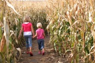 Kentucky Corn Maze Ranks Among America's Best