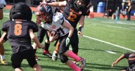 Le Roy Youth Knights Teams Advance to Championship After Thrilling Playoff Wins