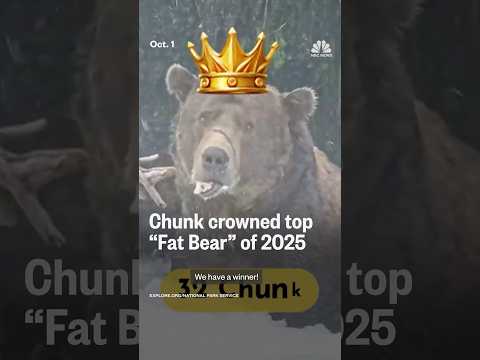 Chunk is crowned top 'Fat Bear' of 2025