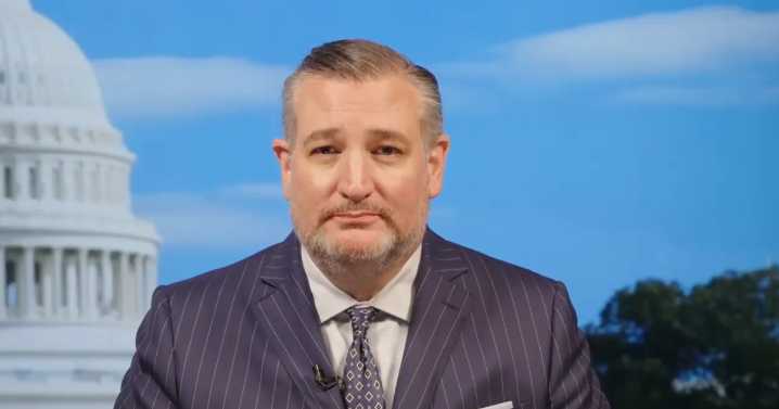 Texas Republican U.S. Senator Cruz talks government shutdown, redistricting federal court hearing