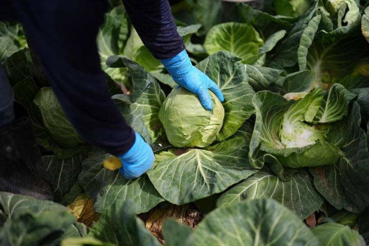 Scientists say we can avoid 15 million deaths per year by fixing food