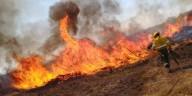 Incendios forestales en Jujuy: el Ramal y la Puna están bajo alerta roja por condiciones extremas