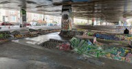 Illegal Bristol rave shut down after 250 revellers descend on skatepark