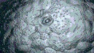 Esto es un ojo, ¿puedes adivinar de qué? Mira las mejores fotos microscópicas del año
