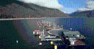 Sunshine Coast fish farm appears to be abandoned, environmental group says