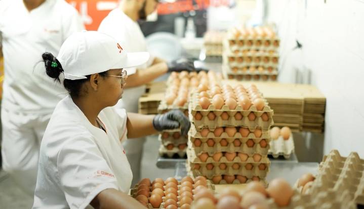 Colombia conquista el mercado Japonés con su primera exportación de pollo