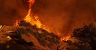 Man pleads not guilty to sparking deadly Palisades Fire in Los Angeles