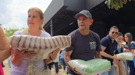 Este sábado 18 de octubre en Medellín será la gran ‘donatón’ de alimentos: así puede ayudar