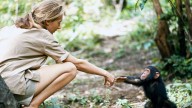 Muere la etóloga de 91 años Jane Goodall