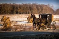 Driver in 2023 deadly Amish buggy crash gets 4 years in prison