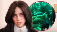 Billie Eilish Violently Grabbed By Fan During Miami Concert