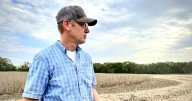 Cómo el cierre del gobierno federal está perjudicando a los agricultores, que ya están atravesando por un año difícil