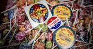 Northern New Mexico elections: What's on your ballot Nov. 4?