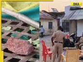 20 injured after stones thrown at Durga idol immersion in Maharashtra's Buldhana