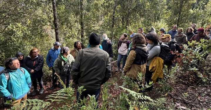 Nace primera red de vigilantes del bosque nativo: Vecinos e indígenas monitorean 11 mil hectáreas entre Valparaíso y Los Lagos