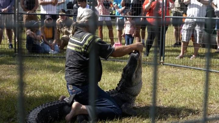 Florida Alligator Festival celebrates tradition of alligator wrestling and 'Old Florida' spirit