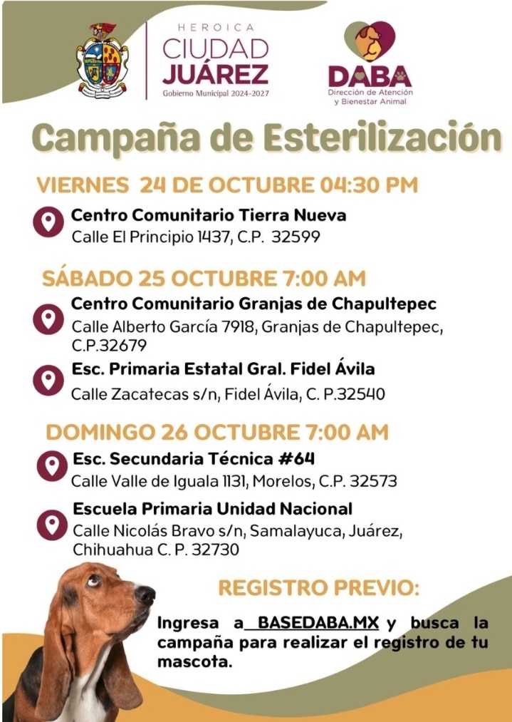Habrá esterilización de mascotas