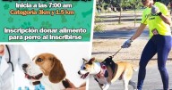Corre con tu lomito en la Carrera con Mascotas en Mexicali