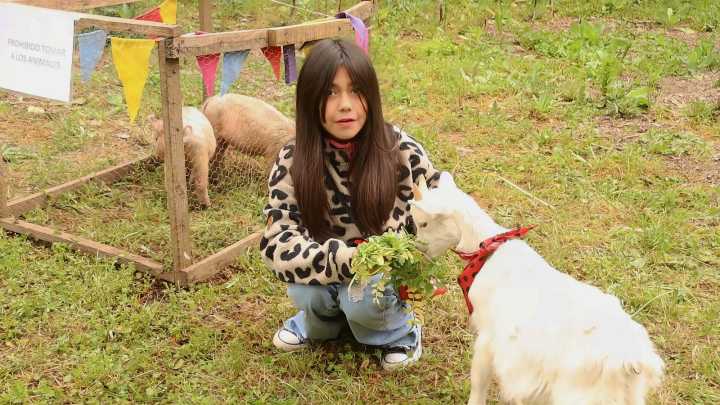 Animales, tradiciones y ambiente familiar: Invitan a la Granja Fest en Molina este domingo 26