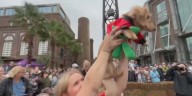 Oso claims victory at annual Savannah Wiener Dog Races