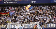 Búscate en las gradas de La Rosaleda en el Málaga CF